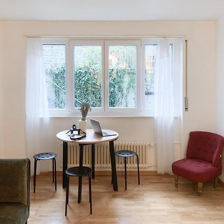Lucerne Apartment - Near Lion Monument - By Paf エクステリア 写真